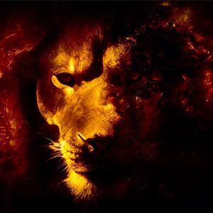 Meet your Posher, Seth